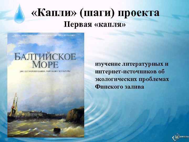  «Капли» (шаги) проекта Первая «капля» изучение литературных и интернет-источников об экологических проблемах Финского