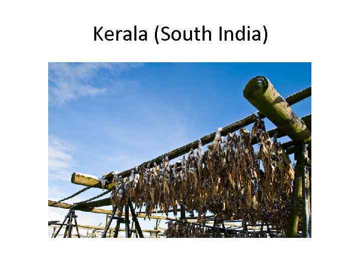 Kerala (South India) 