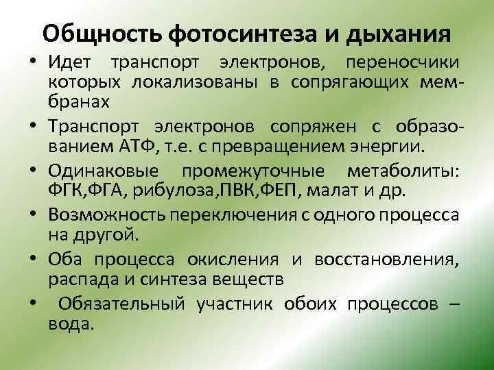Общность фотосинтеза и дыхания • Идет транспорт электронов, переносчики которых локализованы в сопрягающих мембранах