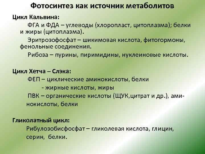Фотосинтез как источник метаболитов Цикл Кальвина: ФГА и ФДА – углеводы (хлоропласт, цитоплазма); белки