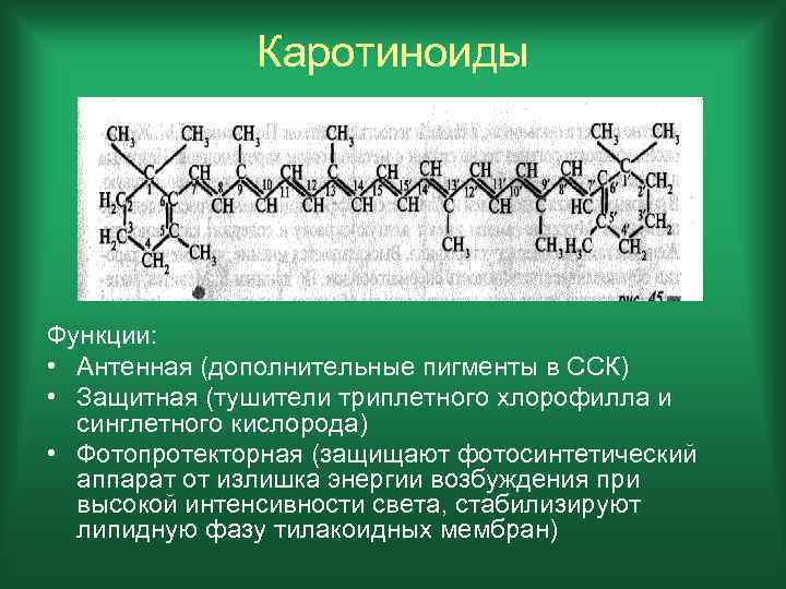 Каротиноиды Функции: • Антенная (дополнительные пигменты в ССК) • Защитная (тушители триплетного хлорофилла и