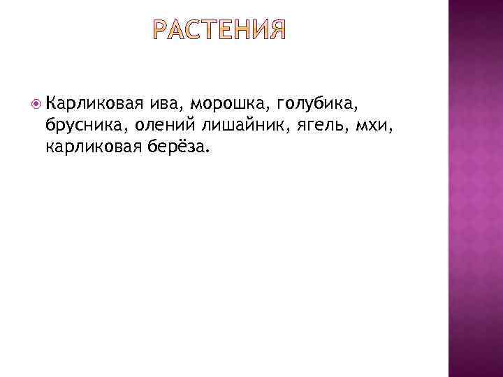  Карликовая ива, морошка, голубика, брусника, олений лишайник, ягель, мхи, карликовая берёза. 