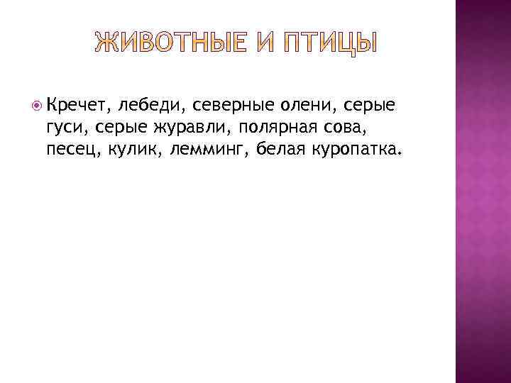  Кречет, лебеди, северные олени, серые гуси, серые журавли, полярная сова, песец, кулик, лемминг,