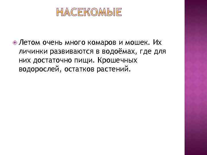  Летом очень много комаров и мошек. Их личинки развиваются в водоёмах, где для