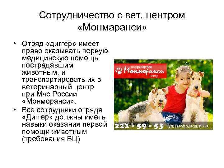 Сотрудничество с вет. центром «Монмаранси» • Отряд «диггер» имеет право оказывать первую медицинскую помощь