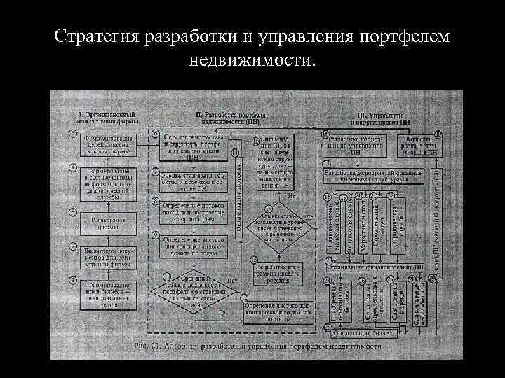 Стратегия разработки и управления портфелем недвижимости. 