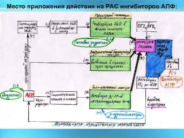 Место приложения