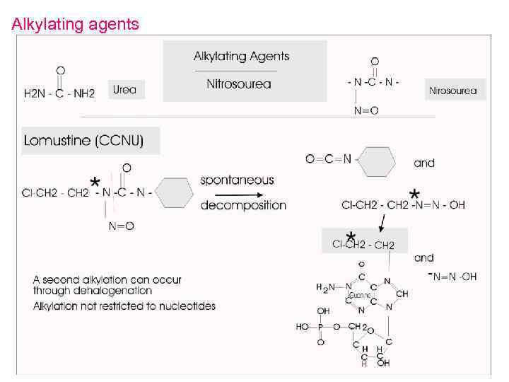 Alkylating agents 