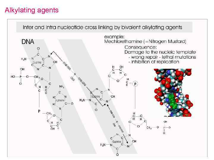 Alkylating agents 
