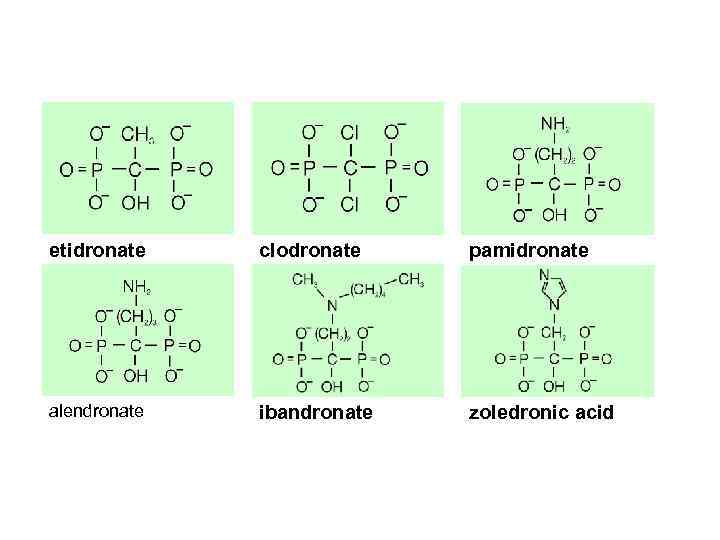 etidronate clodronate pamidronate alendronate ibandronate zoledronic acid 