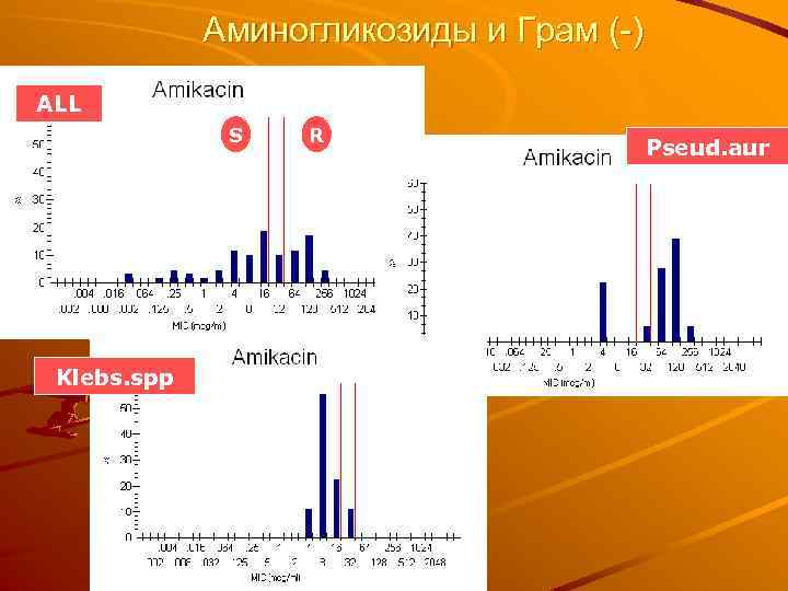Аминогликозиды и Грам (-) ALL S Klebs. spp R Pseud. aur 
