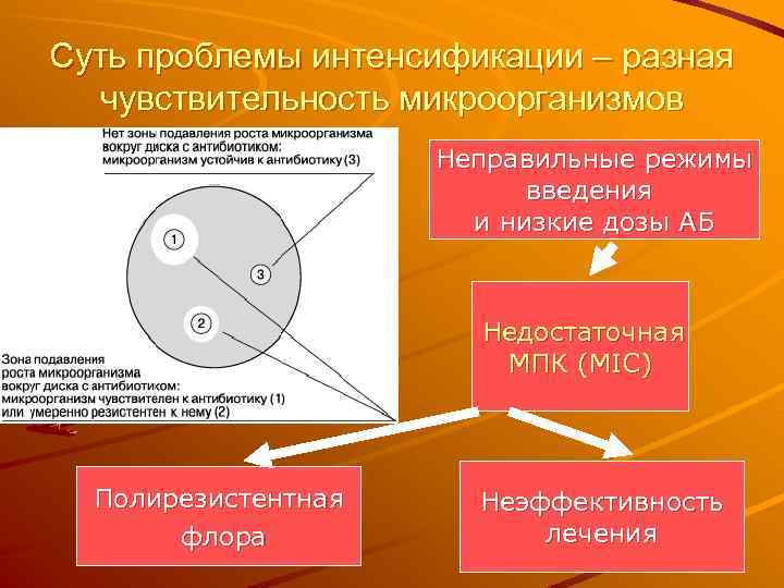 Суть проблемы интенсификации – разная чувствительность микроорганизмов Неправильные режимы введения и низкие дозы АБ