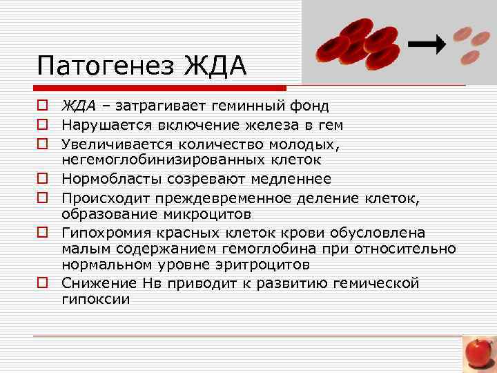 Патогенез ЖДА o ЖДА – затрагивает геминный фонд o Нарушается включение железа в гем