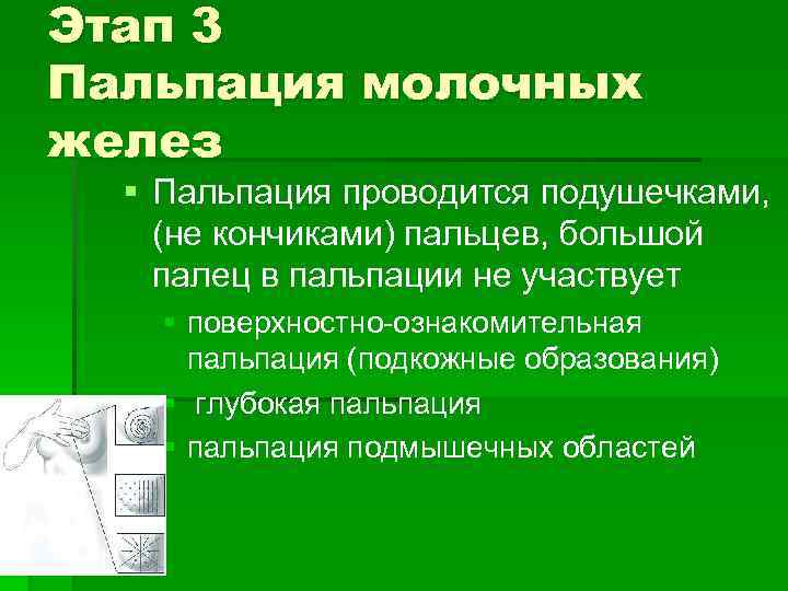 Пальпация молочной. Осмотр молочной железы алгоритм. Пальпация грудных желез алгоритм. Пальпация молочной железы алгоритм. Пальпация молочных железы алгоритм.