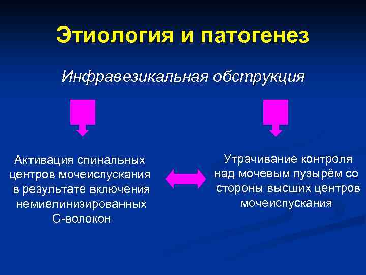 Этиология и патогенез Инфравезикальная обструкция Активация спинальных центров мочеиспускания в результате включения немиелинизированных С-волокон