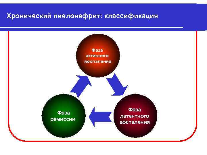 Хронический пиелонефрит: классификация Фаза активного воспаления Фаза ремиссии Фаза латентного воспаления 