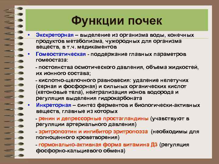 Функции почек • • • Экскреторная – выделение из организма воды, конечных продуктов метаболизма,