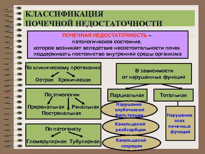 КЛАСИФІКАЦІЯ КЛАССИФИКАЦИЯ НИРКОВОЇ НЕДОСТАТНОСТІ ПОЧЕЧНОЙ НЕДОСТАТОЧНОСТИ ПОЧЕЧНАЯ НЕДОСТАТОЧНОСТЬ – патологическое состояние, которое возникает вследствие