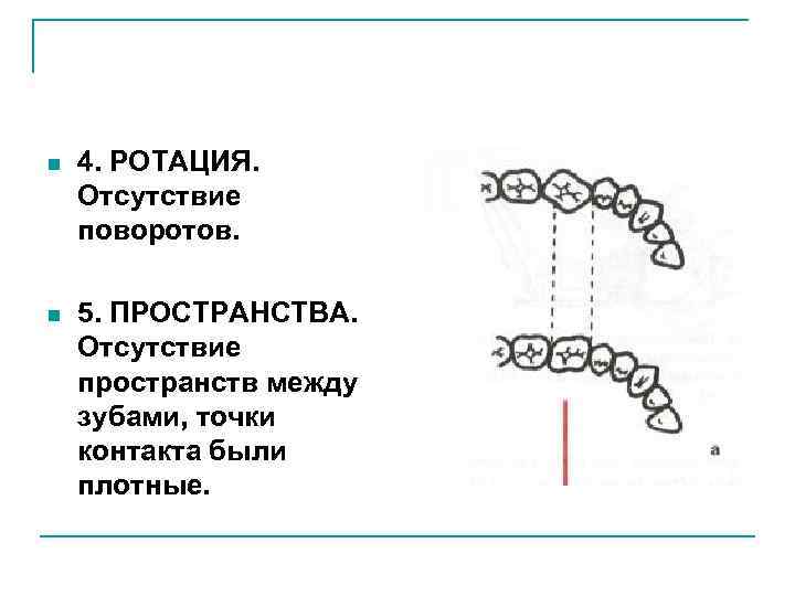 n 4. РОТАЦИЯ. Отсутствие поворотов. n 5. ПРОСТРАНСТВА. Отсутствие пространств между зубами, точки контакта