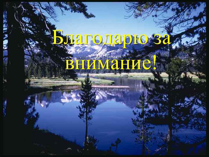 Благодарю за внимание! 