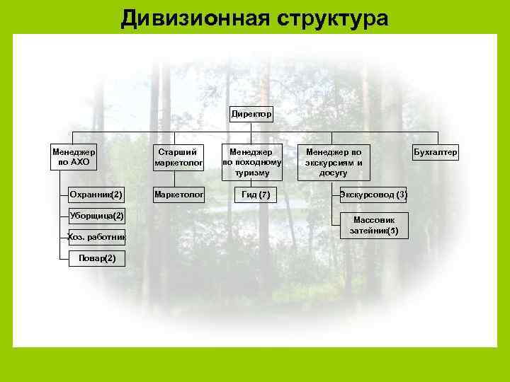 Дивизионная структура Директор Менеджер по АХО Охранник(2) Уборщица(2) Хоз. работник Повар(2) Старший маркетолог Менеджер
