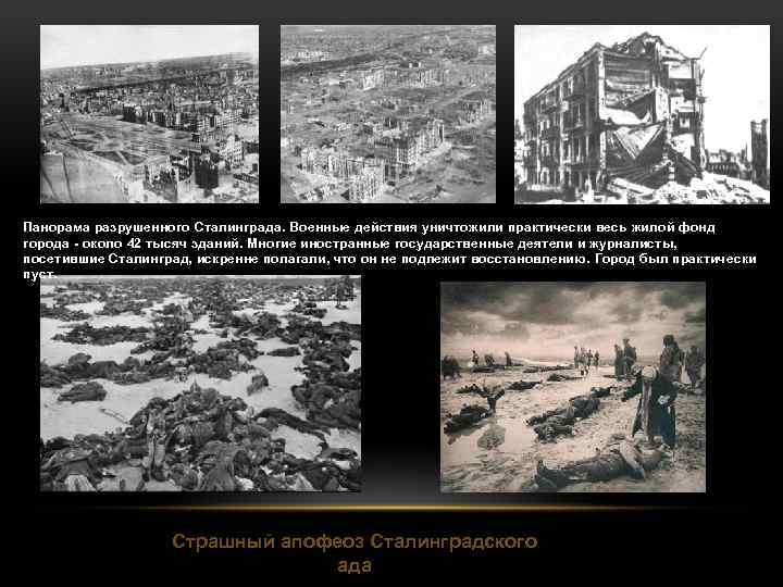 Панорама разрушенного Сталинграда. Военные действия уничтожили практически весь жилой фонд города - около 42