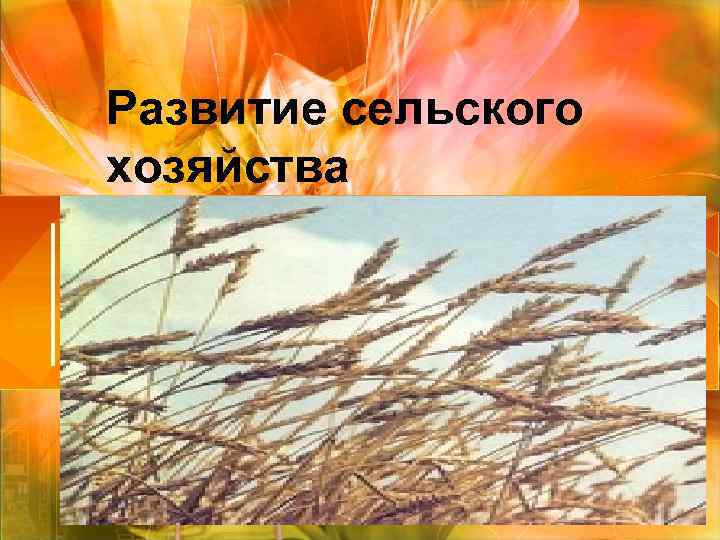 Развитие сельского хозяйства 