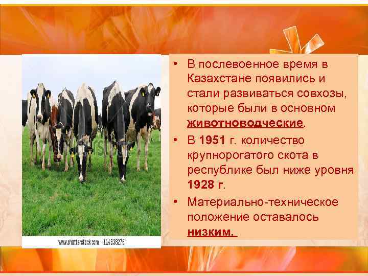  • В послевоенное время в Казахстане появились и стали развиваться совхозы, которые были