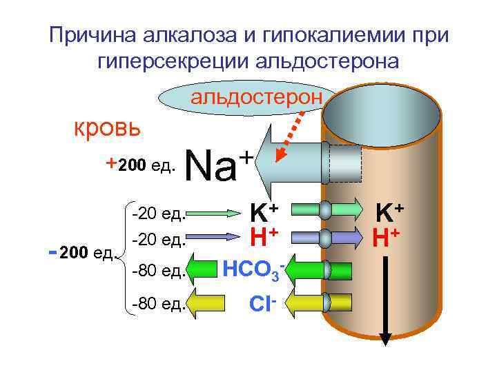 Причина алкалоза и гипокалиемии при гиперсекреции альдостерона альдостерон кровь +200 ед. + Na -20