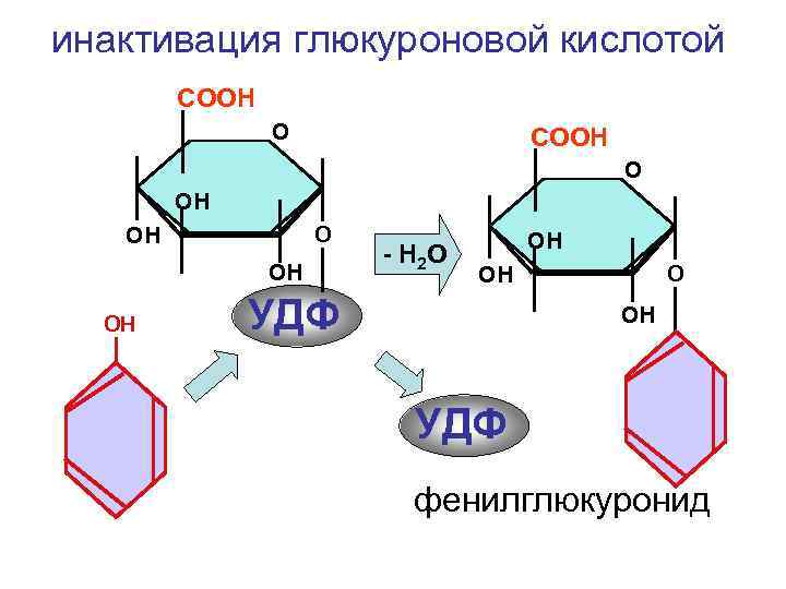 инактивация глюкуроновой кислотой СООН ОН ОН - Н 2 О ОН УДФ фенилглюкуронид 