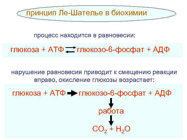 принцип Ле-Шателье в биохимии процесс находится в равновесии: глюкоза + АТФ глюкозо-6 -фосфат +