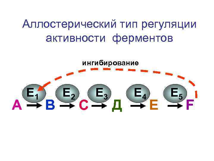 Аллостерический тип регуляции активности ферментов ингибирование А E 1 В E 2 С E