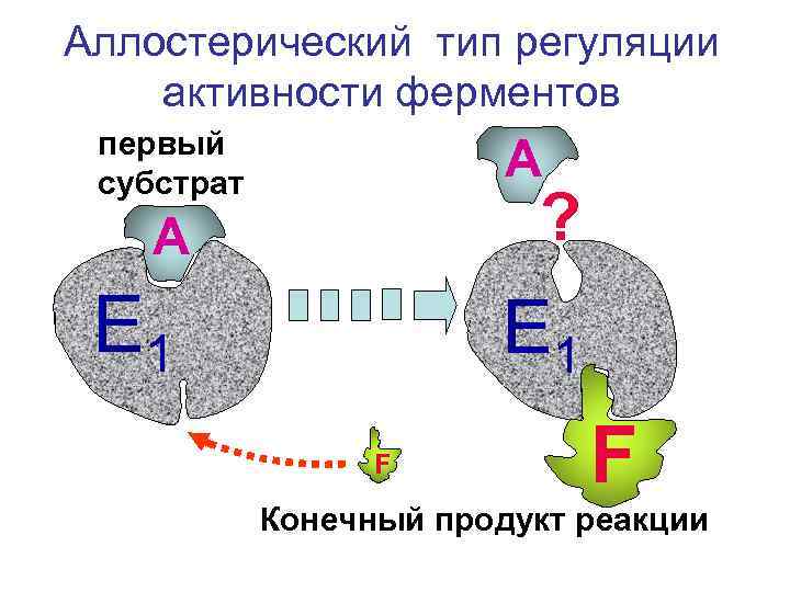 Аллостерический тип регуляции активности ферментов первый субстрат А ? А Е 1 F F