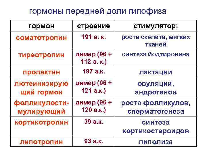 гормоны передней доли гипофиза гормон строение стимулятор: соматотропин 191 а. к. роста скелета, мягких