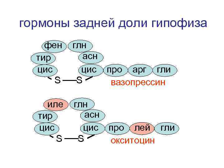 гормоны задней доли гипофиза фен тир цис S глн асн цис про арг гли