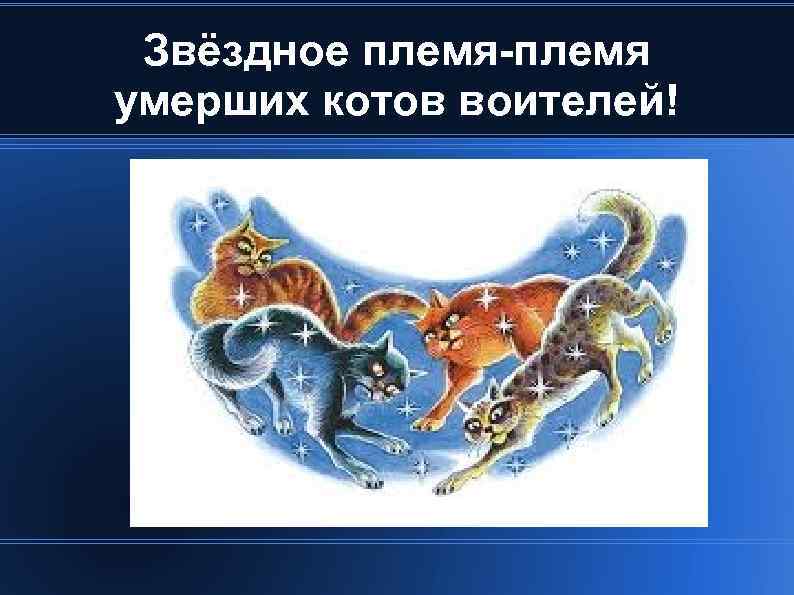 Звёздное племя-племя умерших котов воителей! 