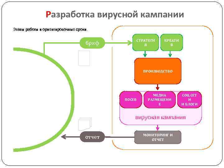 Разработка вирусной кампании Этапы работы и ориентировочные сроки. бриф СТРАТЕГИ Я КРЕАТИ В ПРОИЗВОДСТВО