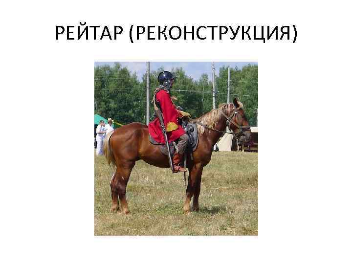 РЕЙТАР (РЕКОНСТРУКЦИЯ) 