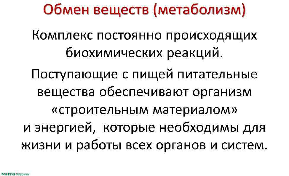 В обеспечении организма строительным материалом. В обеспечении организма строительным материалом состоит значение. Основы строительства организма.