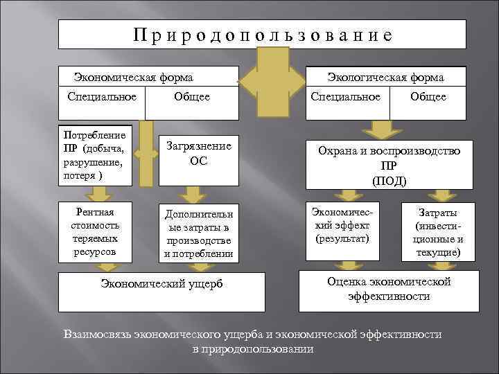 П р и р о д о п о л ь з о в