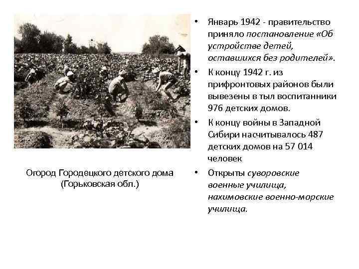 Огород Городецкого детского дома (Горьковская обл. ) • Январь 1942 - правительство приняло постановление
