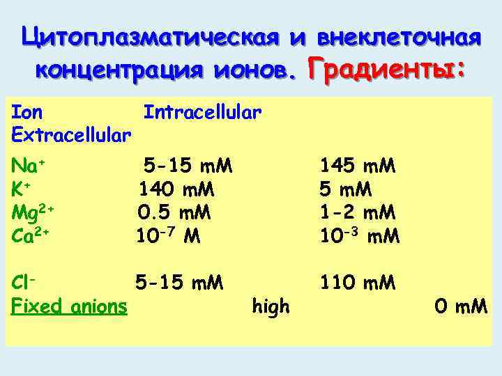 Цитоплазматическая и внеклеточная концентрация ионов. Градиенты: Ion Intracellular Extracellular Na+ K+ Mg 2+ Ca