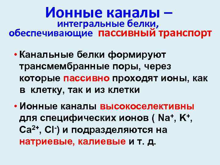 Ионные каналы – интегральные белки, обеспечивающие пассивный транспорт • Канальные белки формируют трансмембранные поры,