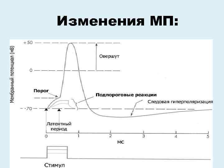 Изменения МП: 