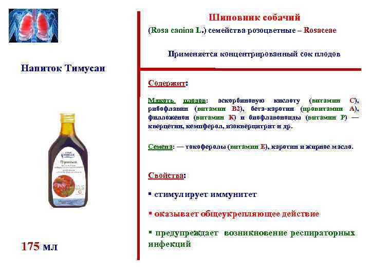 Шиповник собачий (Rosa canina L. ) семейства розоцветные – Rosaceae Применяется концентрированный сок плодов