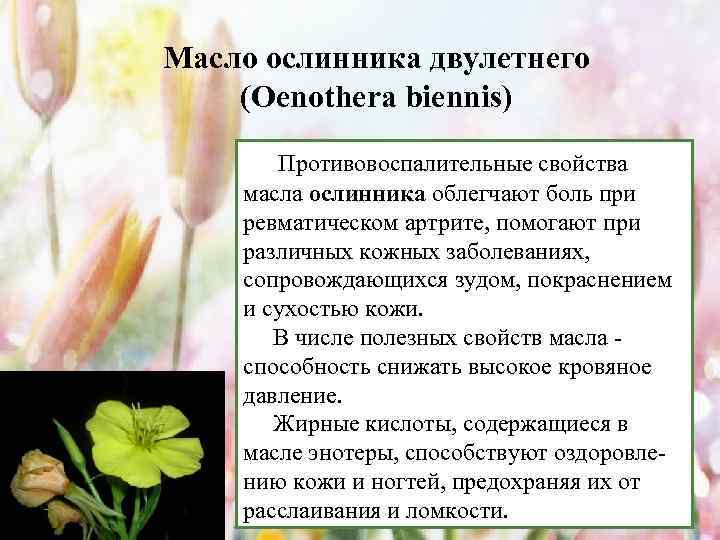 Масло ослинника двулетнего (Oenothera biennis) Противовоспалительные свойства масла ослинника облегчают боль при ревматическом артрите,