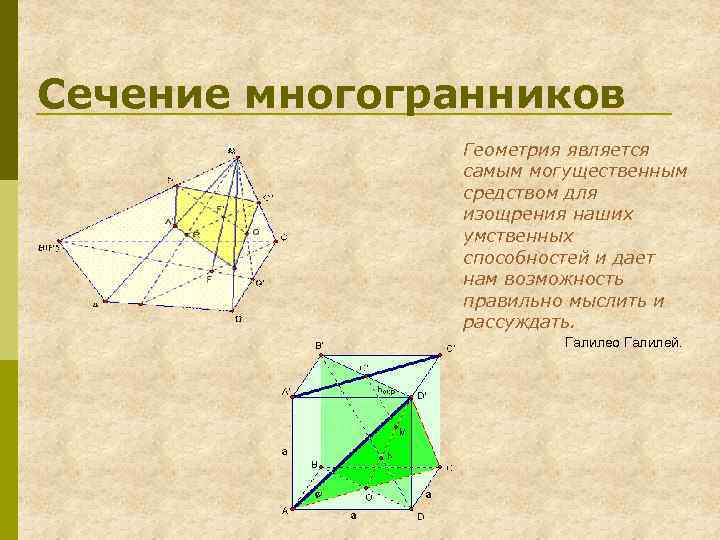 Сечение многогранников Геометрия является самым могущественным средством для изощрения наших умственных способностей и дает