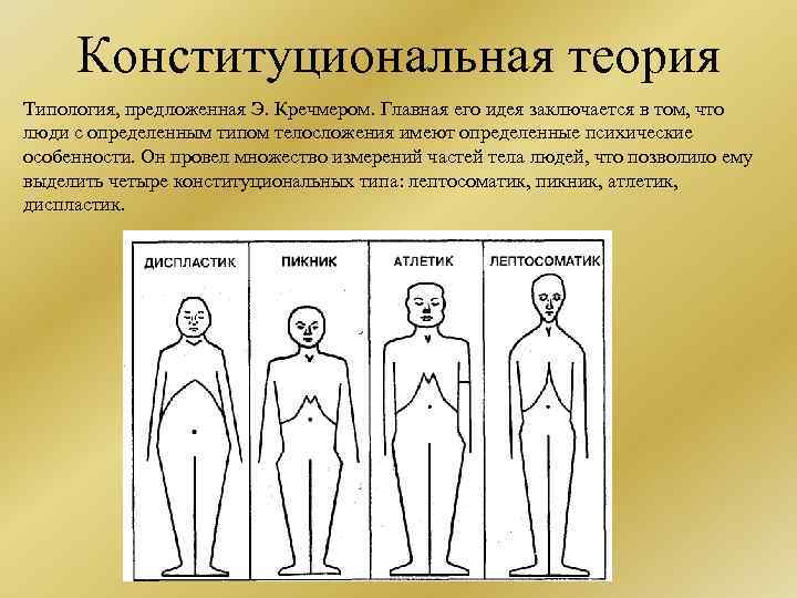 Конституциональная теория Типология, предложенная Э. Кречмером. Главная его идея заключается в том, что люди