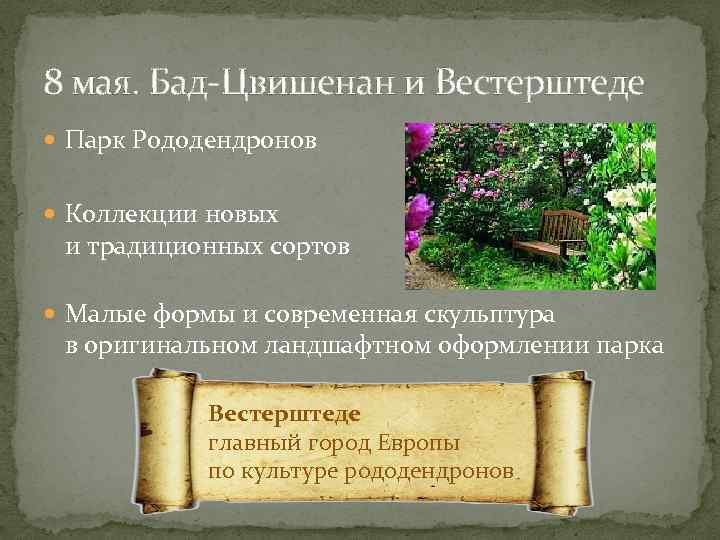 8 мая. Бад-Цвишенан и Вестерштеде Парк Рододендронов Коллекции новых и традиционных сортов Малые формы