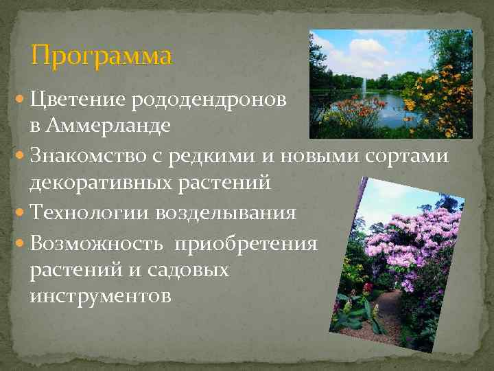 Программа Цветение рододендронов в Аммерланде Знакомство с редкими и новыми сортами декоративных растений Технологии